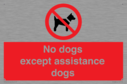 no-dogs-except-assistance-dogs~
